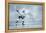 Ice Hockey Player on the Ice-yuran-78-Framed Premier Image Canvas