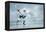 Ice Hockey Player on the Ice-yuran-78-Framed Premier Image Canvas