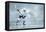 Ice Hockey Player on the Ice-yuran-78-Framed Premier Image Canvas