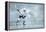 Ice Hockey Player on the Ice-yuran-78-Framed Premier Image Canvas