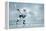 Ice Hockey Player on the Ice-yuran-78-Framed Premier Image Canvas