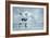 Ice Hockey Player on the Ice-yuran-78-Framed Photographic Print