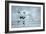 Ice Hockey Player on the Ice-yuran-78-Framed Photographic Print