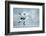 Ice Hockey Player on the Ice-yuran-78-Framed Photographic Print