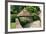 Ice House, Holland Park, London-Peter Thompson-Framed Photographic Print