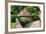 Ice House, Holland Park, London-Peter Thompson-Framed Photographic Print