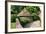 Ice House, Holland Park, London-Peter Thompson-Framed Photographic Print