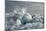Ice, Icebergs, Black Lava Beach, Glacier Lagoon, Jškulsarlon, South Iceland-Julia Wellner-Mounted Photographic Print