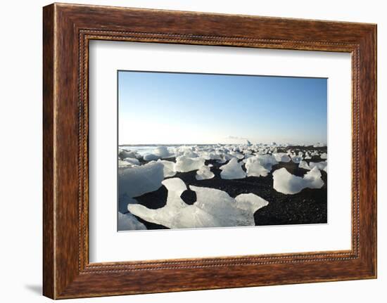 Ice, Icebergs, Black Lava Beach, Glacier Lagoon, Jškulsarlon, South Iceland-Julia Wellner-Framed Photographic Print