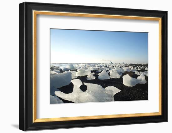 Ice, Icebergs, Black Lava Beach, Glacier Lagoon, Jškulsarlon, South Iceland-Julia Wellner-Framed Photographic Print