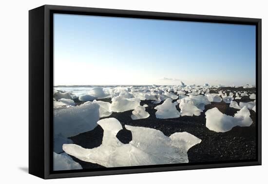 Ice, Icebergs, Black Lava Beach, Glacier Lagoon, Jškulsarlon, South Iceland-Julia Wellner-Framed Premier Image Canvas