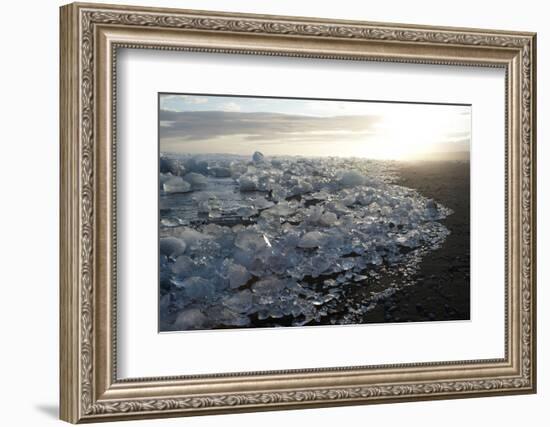 Ice, Icebergs, Black Lava Beach, Glacier Lagoon, Jškulsarlon, South Iceland-Julia Wellner-Framed Photographic Print