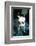 Ice kitten's sister-Vincent Alexander Booth-Framed Photographic Print