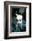 Ice kitten's sister-Vincent Alexander Booth-Framed Photographic Print