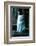 Ice kitten-Vincent Alexander Booth-Framed Photographic Print