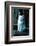 Ice kitten-Vincent Alexander Booth-Framed Photographic Print