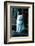 Ice kitten-Vincent Alexander Booth-Framed Photographic Print