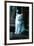 Ice kitten-Vincent Alexander Booth-Framed Photographic Print