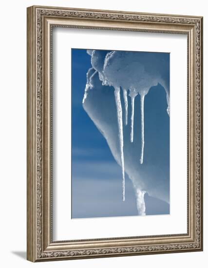 Ice Melting in the High Arctic Sun in Spring, Nunavut, Canada, North America-Louise Murray-Framed Photographic Print