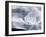 Ice on Jokulsa Beach, Iceland-Nadia Isakova-Framed Photographic Print