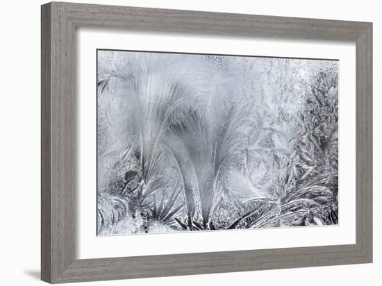 Ice Patterns on a Winter Window-abracadabra99-Framed Art Print