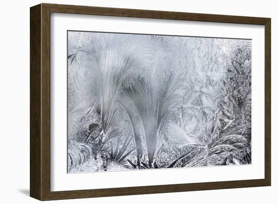 Ice Patterns on a Winter Window-abracadabra99-Framed Art Print