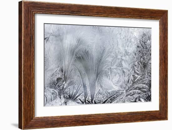 Ice Patterns on a Winter Window-abracadabra99-Framed Art Print