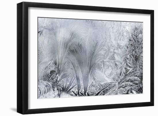 Ice Patterns on a Winter Window-abracadabra99-Framed Art Print