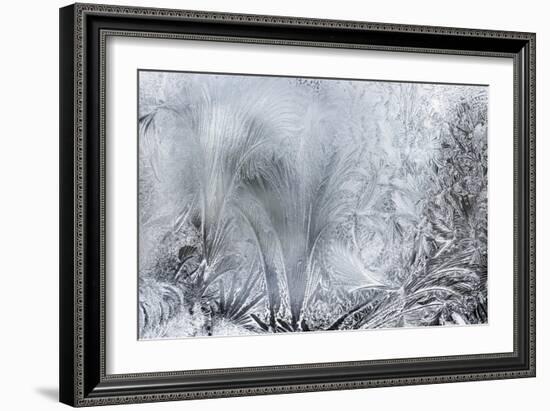 Ice Patterns on a Winter Window-abracadabra99-Framed Art Print