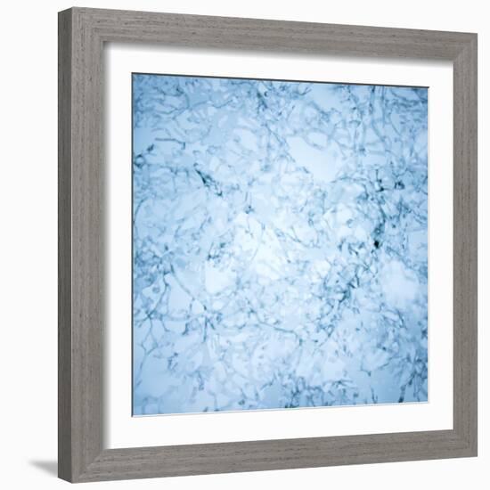 Ice Pearls-Doug Chinnery-Framed Photographic Print