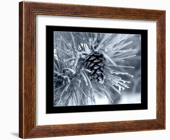 Ice Pine Cone 2-Gordon Semmens-Framed Giclee Print