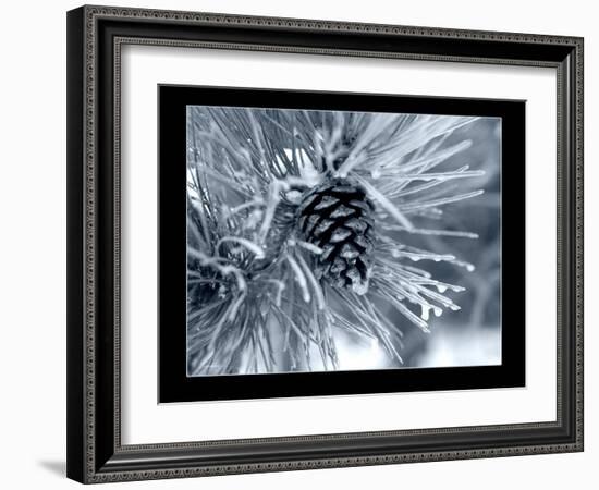 Ice Pine Cone 2-Gordon Semmens-Framed Giclee Print