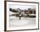 Ice Rink at Copper Mountain Ski Resort, Rocky Mountains, Colorado, USA-Richard Cummins-Framed Photographic Print