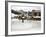 Ice Rink at Copper Mountain Ski Resort, Rocky Mountains, Colorado, USA-Richard Cummins-Framed Photographic Print