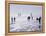 Ice Sailing-null-Framed Premier Image Canvas