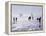 Ice Sailing-null-Framed Premier Image Canvas