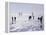 Ice Sailing-null-Framed Premier Image Canvas