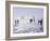 Ice Sailing-null-Framed Photographic Print