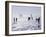 Ice Sailing-null-Framed Photographic Print