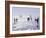 Ice Sailing-null-Framed Photographic Print