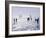 Ice Sailing-null-Framed Photographic Print