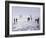 Ice Sailing-null-Framed Photographic Print