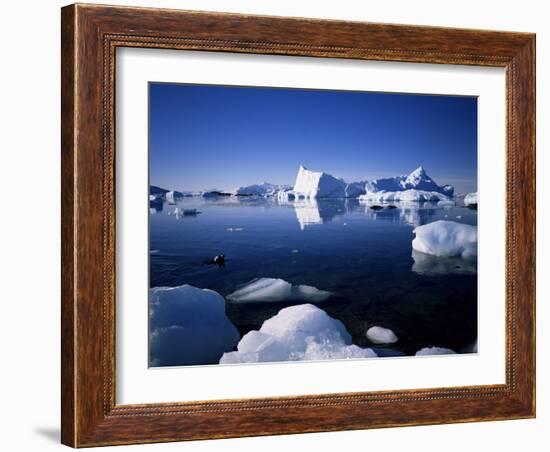 Ice Scenery and Seal, Antarctica, Polar Regions-Geoff Renner-Framed Photographic Print