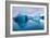 Ice Sculpture-Howard Ruby-Framed Photographic Print