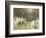 Ice Skaters on a Frozen Lake in the Berlin Zoo, 1919-Max Liebermann-Framed Giclee Print