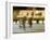 Ice Skating at Night on Ice Rink at Mozartplatz Square, Salzburg, Austria, Europe-Richard Nebesky-Framed Photographic Print