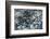 Ice Texture in Hopper Glacier-Kowit.Lee-Framed Photographic Print