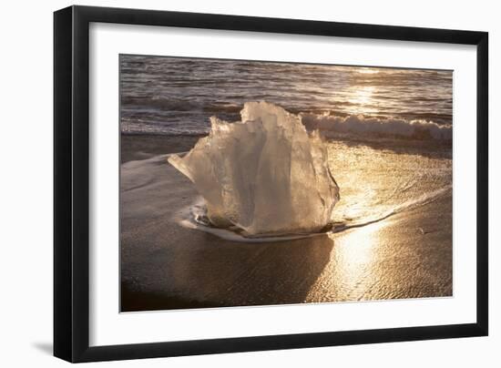 Ice Tulip-Michael Blanchette Photography-Framed Photographic Print