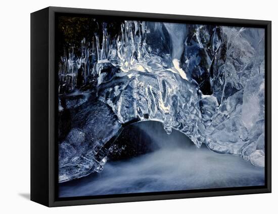 Ice-Eric Meyer-Framed Premier Image Canvas