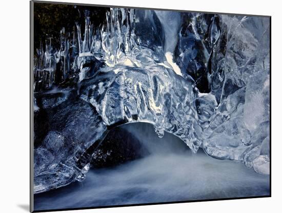 Ice-Eric Meyer-Mounted Photographic Print